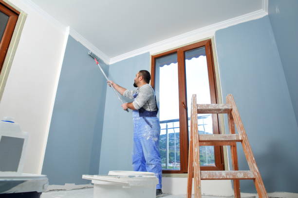 Reliable Encantada Ranchito El Calaboz, TX Painting Solutions